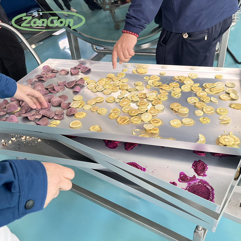 Vacuum commercial freeze dryer for freeze-drying mango, cherry, durian, apple, banana, okra, yogurt, coffee
